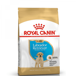 royal canin labrador puppy