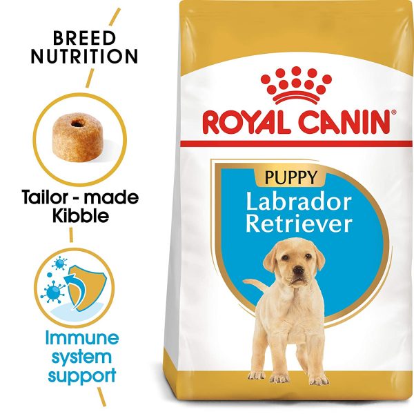 royal canin labrador puppy