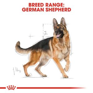 royal canin german shepherd adult