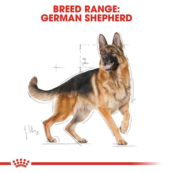 royal canin german shepherd adult