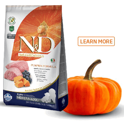 N&d pumpkin hot sale formula puppy