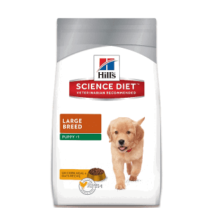 science diet puppy food